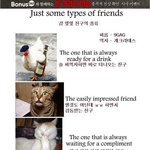 친구의 <b>종류</b>!!