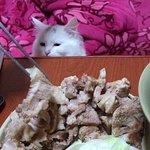 '한 입  주겠지?' 하는 순간들