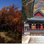<b>단풍</b>구경 하러~ gogo~