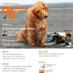애견 펫진 petmd 35호 <b>발행</b> 소식