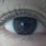 요런 눈은 어<b>때용</b>><