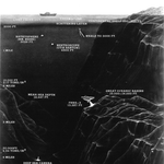 펌)1탄 신기한 바닷속 심해어와 심해생물들
