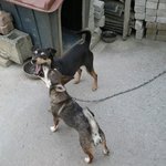 <b>아웅</b>~~귀찮게좀 하지마