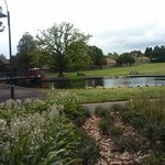 호주공원에서 칼에 찔렸어요.