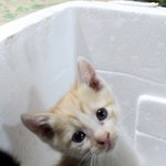 <꼬물꼬물>봄여름가을겨울-