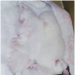 <b>살짝</b>쿵 자식 자랑합니다~