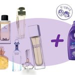 다우니 화이트티와 릴리 +구찌 엔비+ 빅시 시크릿참의 향기궁합지수는...