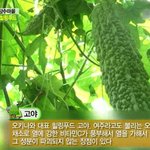 점심먹고 즐기는 <b>여주</b>차 ~ <b>여주</b>다이어트로 웰빙다이어트해보려고요 ㅠ...