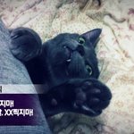 곰팡이 2
