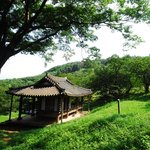 꼭 가고 싶은 가을 나들이 명소 : 캐리비안베이