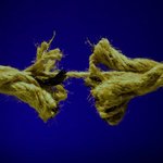 democracy under <b>stress</b>