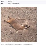<b>본드</b> 흡인 후기 .../......