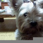 도토리 일상이야기