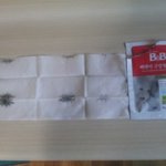 <b>비앤비</b> 구강티슈 곰팡이 사건!!!