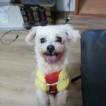 **사진有제발 천사같은아이를 도와주세요**