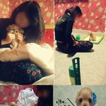 사랑스러운 칠남매 아가들을 소개합니다!1탄 <b>쥐콩</b>이편!