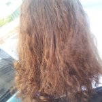 (사진有) 읽어봐주세요 미용실에서 <b>개털</b>이되서 돌아왔습니다./수정.