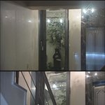 <b>이사진</b>어렵게보십시오