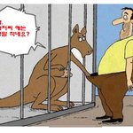 캥거루 한테 <b>발림</b>