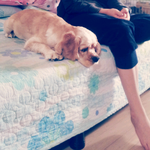 사랑스러운칠남매아가들을소개합니다!2편 골뎅이편