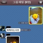 뒷북치는 웃긴댓글, 사진