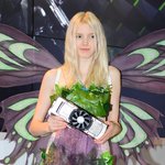 지스타 <b>백마</b>짤