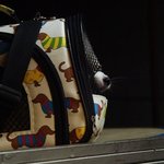 감기조심하개 한글이판 [29]