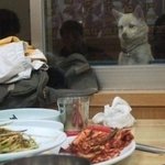 간단레시피푸심한영양식,닭백숙 쉽게만들기(야식<b>야참</b>도있어요!)