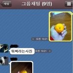 [웃긴사진] 귤 배틀류 甲