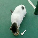 <b>추운</b>겨울이무섭습니다 <분양글>