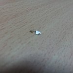 칼날이 나온 만두 취영루 초당 고기 손만두(<b>냉동</b>제품요..)