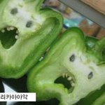 뒷북치는 웃긴댓글, 사진 2