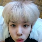 <<<<<<<<<<<<<학생이 본 팬덤별 이미지>>>>>>>>>>>>>>>