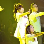 <b>솜털</b>유