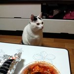 [냥판] <b>대두</b>김용배의 제목을또못짓겠다쉬먀