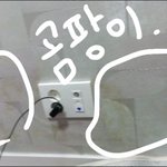 10월 신축 건물에 입주했습니다..도와주세요..