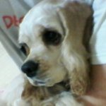 (수정)사랑스러운 칠남매를 소개합니다!5편 일상생활