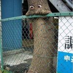 냠<b>냠냠</b> 마시쪙