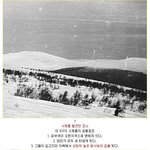 미스테리한 집단 사망사건-수정