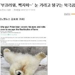 재미있는 사진 <b>재탕</b>하기 12