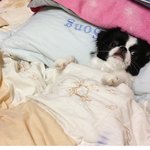 (<b>fun</b>) 언니 나갈때 불좀 꺼줘