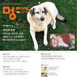 무료 애견 웹진 "멍" 37호 <b>발행</b> 소식
