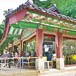 한국 미친것같음