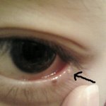 사진有 (개혐오주의) 언니들 이거뭐야 ㅠㅠㅠㅠㅠㅠ