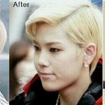 ----bap <b>젤로</b>의 실체------