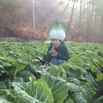 <b>김치</b>가 되고 싶은 일본녀