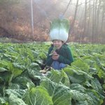 혼자놀기 <b>달인</b>할 기세의 연예인들