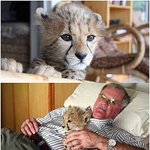 귀여운<b>동물사진</b>ㅋ 23