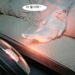 까꽁~~~~~~~~~~~~~~~~