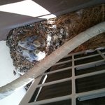 제 나이 스물셋에 쌍둥이 동생 둘이 태어났어요.